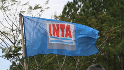 Alerta en el INTI: mandos medios advierten sobre “inviabilidad técnica” ante un plan de más de 700 despidos