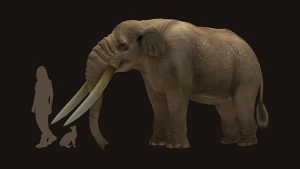 Un estudio del CONICET revela que los primeros pobladores de América eran cazadores de megafauna