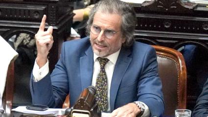 Reacomodamiento en el oficialismo: Benegas Lynch sucede a Espert en la Comisión de Presupuesto