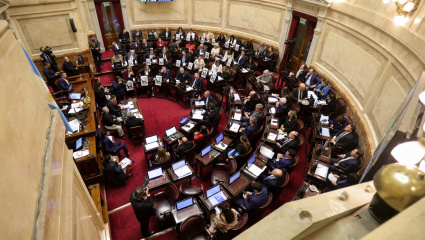 El Senado convirtió en Ley aumento de jubilaciones, bono y prórroga de la moratoria: Milei anticipó que vetará todo