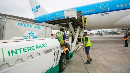 Festival de privatizaciones: el Gobierno acelera la venta de Intercargo