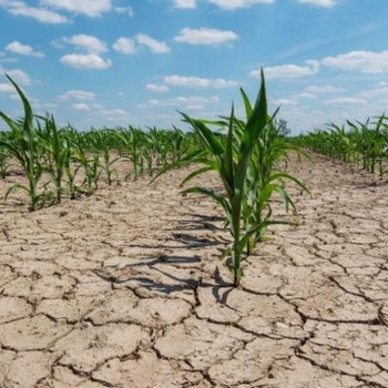 Provincia oficializó la emergencia agropecuaria para 13 distritos que sufrieron la sequía durante el verano