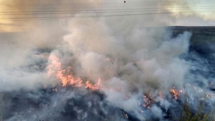 Sierra de la Ventana y Punta Lara afectados por fuertes incendios