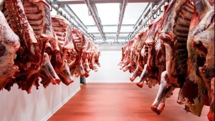 Casi el 80% de la carne argentina de exportación se destina al mercado chino