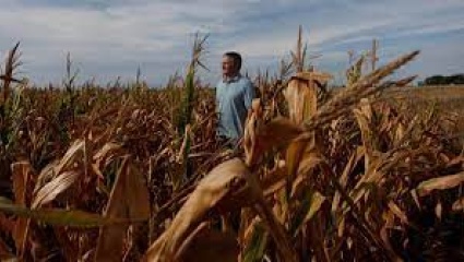 Medio país soporta una sequía prolongada que suma pérdidas millonarias para el agro 