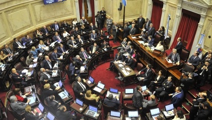 El Senado votó en contra de la despenalización del aborto