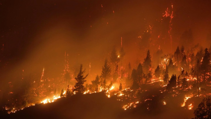 Incendios forestales: poco presupuesto, control laxo y pérdidas billonarias