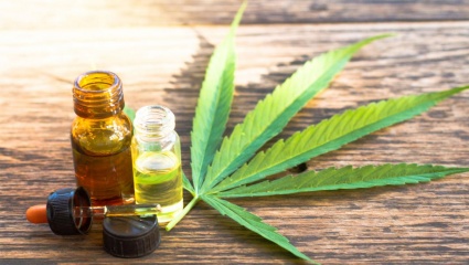 Alberto se planta: el Gobierno legalizó el cultivo de cannabis medicinal