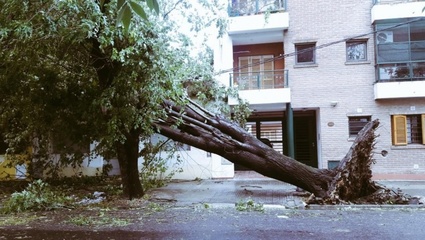 Producto del temporal, mueren de forma trágica dos vecinos del barrio Tolosa