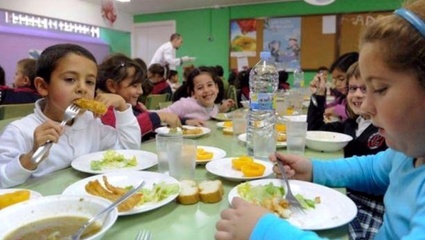 Cinco empresas se postulan para brindar el Servicio Alimentario Escolar en La Plata