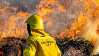 La Ley de Humedales pierde estado parlamentario: entre el ecocidio y los incendios, la política