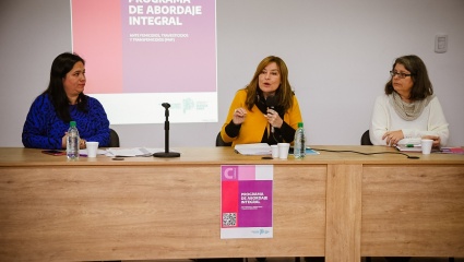 Estela Díaz presentó el Programa de Abordaje Integral ante Femicidios, Travesticidios y Transfemicidios