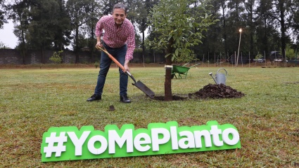 ¿Palo para Máximo?: Fernando Gray lanzó un programa de reforestación bajo el lema “Yo me planto”