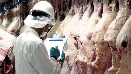 Las exportaciones de carne generaron ingresos casi 45% mayores en lo que va del año 