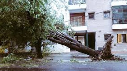 Temporales causaron destrozos en Pinamar, Villa Gessel, Mar del Plata y La Plata