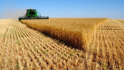 España y Francia le plantean a la Unión Europea importar cereales desde Argentina