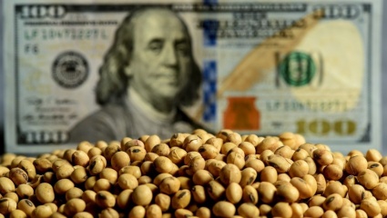 Efecto dólar soja: se vendieron más de 700.000 toneladas el primer día 