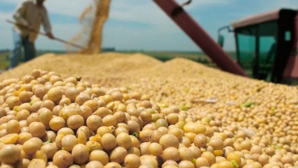 Los pequeños y medianos productores de soja y maíz también tendrán una compensación de precios