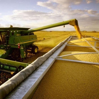 El Gobierno volvió a aumentar las retenciones a la soja, el maíz, el girasol y el sorgo