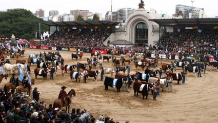 Caen en un 40% las visitas al predio rural de Palermo