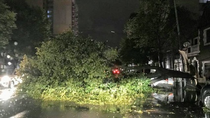 La Plata otra vez inundada por un temporal de veinte minutos