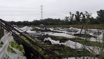 El cinturón frutihortícola sufre las consecuencias del temporal: cerca de mil familias piden ayuda a las autoridades