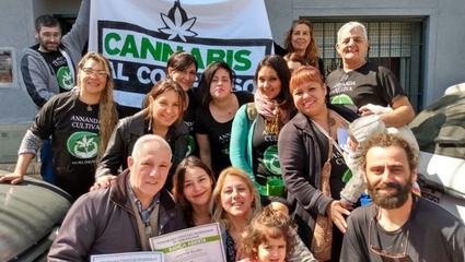 Hurlingham aprobó la producción pública de cannabis medicinal