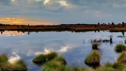 Agua, fuego, tierra y biodiversidad (o cosas que pasan por el fuego y no deberían destruirse)