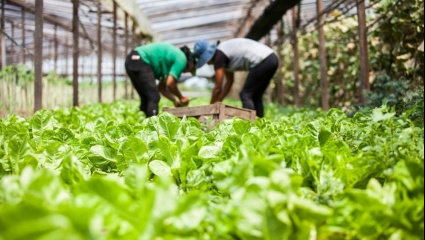 La producción de alimentos de cercanía se mete de lleno en la agenda política