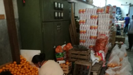 Solidaridad productiva: el secreto de una cooperativa para promover la soberanía alimentaria