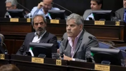 Revuelo en Diputados por el proyecto que busca suspender las PASO en la Provincia