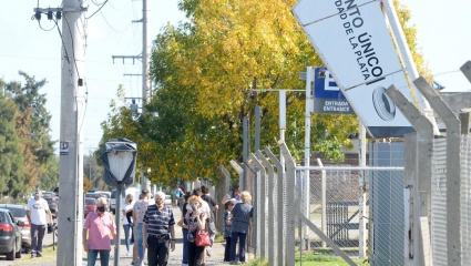 El día que Kicillof plantó el árbol que le tapó el bosque