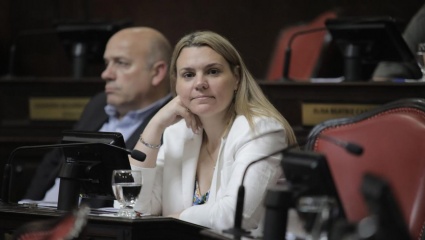 Una senadora del PRO le pagaba a la niñera con plata del Estado