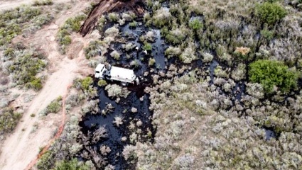 Diputadas radicales piden que el gobierno brinde un informe sobre el derrame de petróleo en Rio Negro