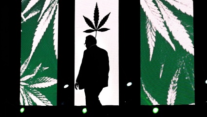 Kulfas celebró la Ley de cáñamo industrial y cannabis medicinal: “Nace una nueva industria en Argentina”