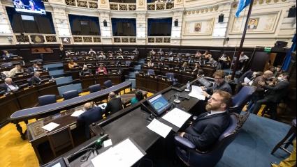 Violencia obstétrica: diputados bonaerenses aprobaron el "parto respetado"