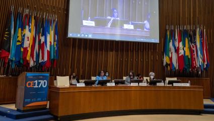 Vizzotti: “Es un honor que Argentina presida el 170° Comité Ejecutivo de la OPS”