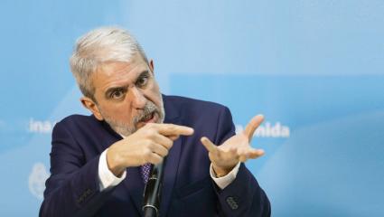 Aníbal Fernández confirmó la compra de pistolas Taser para "grupos de élite"