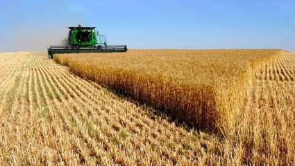Los productores agropecuarios apuestan al futuro: un 74% cree que su situación mejorará