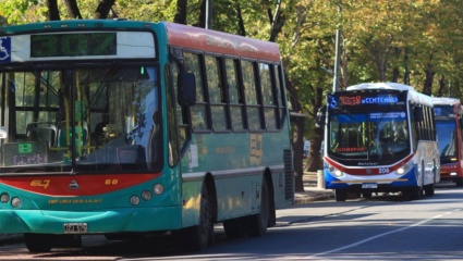 En PBA, el transporte público será gratuito el día de las elecciones: "Todos los bonaerenses podrán ir votar"