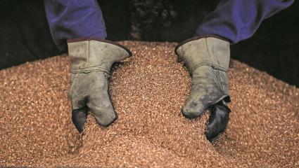 Con inversiones potenciales por US$22.000 millones, el cobre vuelve a gravitar en la minería nacional