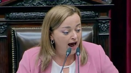 "Macho de vitrina": El fuerte cruce entre Cecilia Moreau y Fernando Iglesias en Diputados