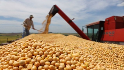 Fuerte confianza de productores agropecuarios en las políticas económicas de Milei