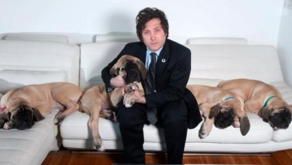 Un exaliado de Milei reveló oscuros detalles del Presidente: "Hablan con ángeles de colores y perros muertos"