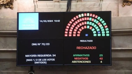 DNU: quiénes son los senadores que votaron junto al kirchnerismo a favor del rechazo