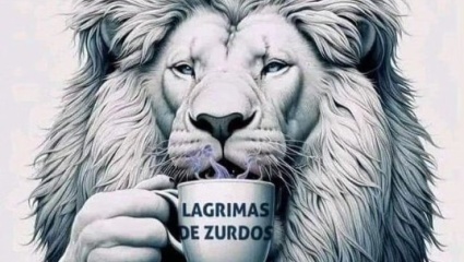 Milei buscó bajarle el precio a la marcha universitaria con un polémico mensaje: “Lágrimas de zurdos”