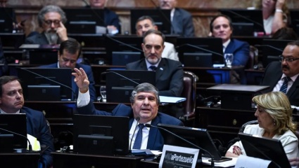 Senado: la oposición busca aprobar el aumento de jubilaciones, emergencia universitaria y citación a Pettovello