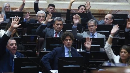 Los senadores radicales presionaron al bloque de diputados para aprobar la Ley Bases modificada