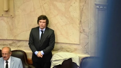 Milei pierde apoyo legislativo y sus decisiones potencian el rechazo a la gestión libertaria a diez meses de asumir