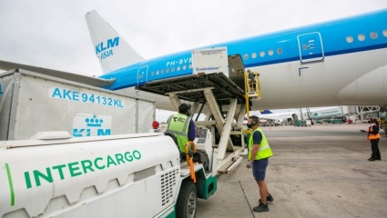 El Gobierno habilitó a fuerzas de Seguridad a prestar servicios en aeropuertos para contrarrestar los paros
